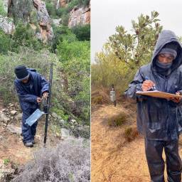 Challenging wet fieldwork conditions